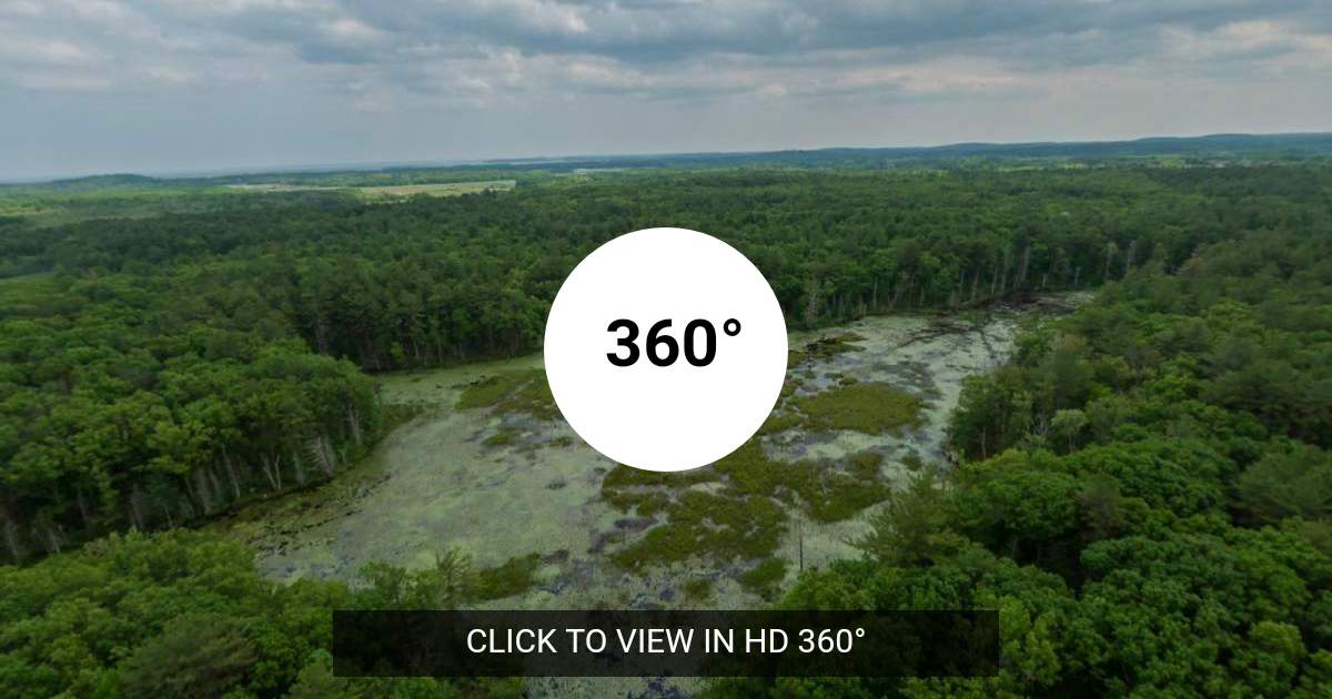 kuula.co